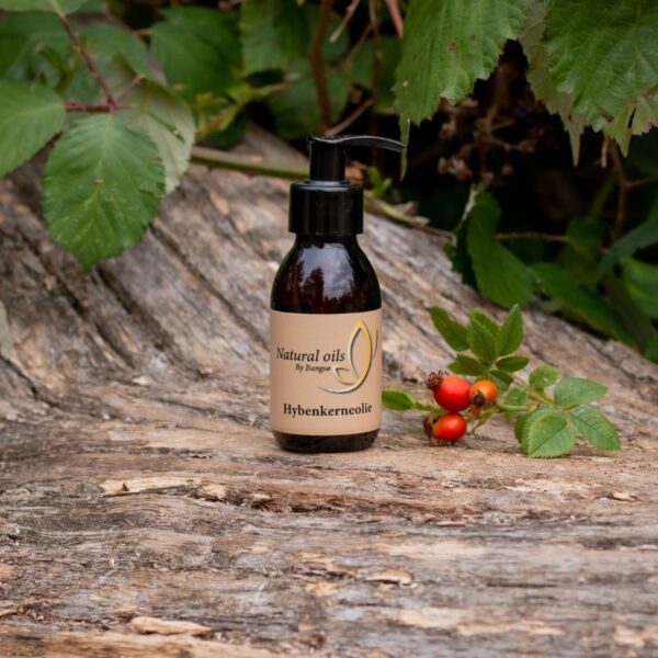 hybenkerneolie-oekoligisk-haar-og-kropsolie