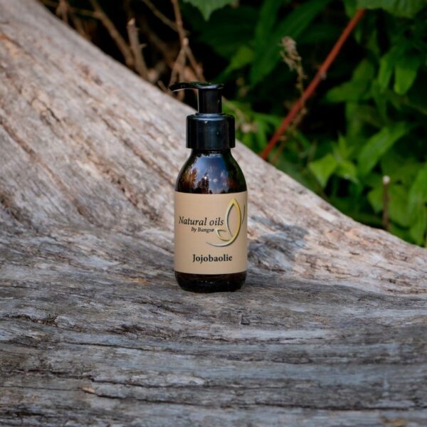 jojobaolie-oekoligisk-haar-og-kropsolie